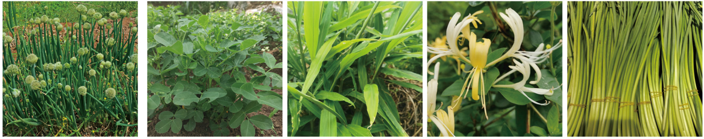 1664266750127906.png 23-23.png