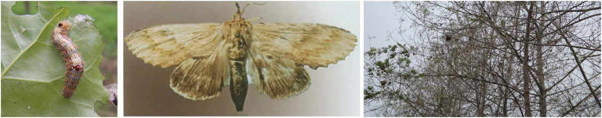 1664267695983207.png 24-24.png