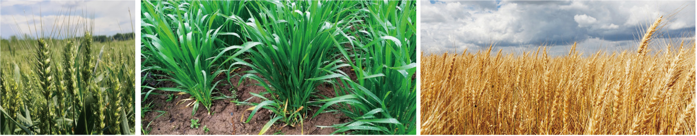 1664269528301832.png 26-26.png