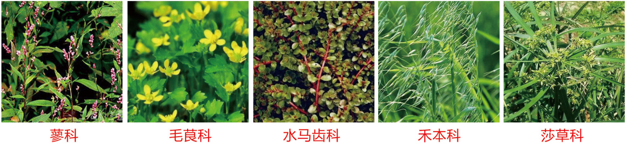 1664330296438318.png 28-28.png