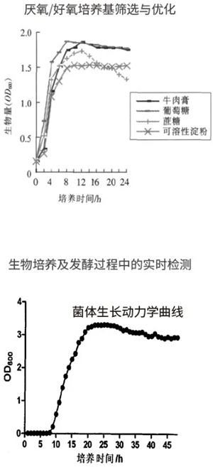 過程安全，結果精準